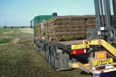 turf_delivered4