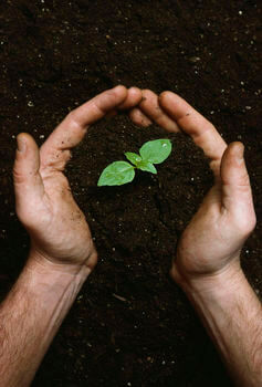 Medway Landscapes Turf Soil Rainham Kent Medway Landscapes Turf Soil Rainham Kent